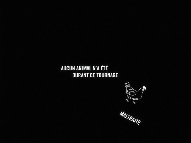 LA POULE_IMAGES__1.1.12